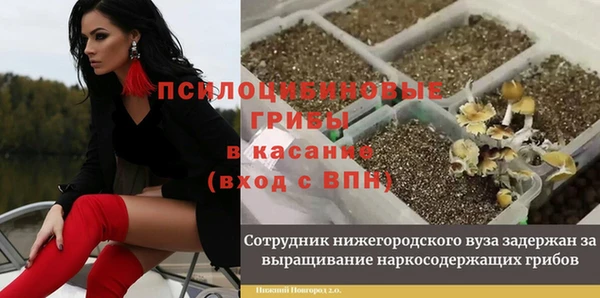 стаф Армянск