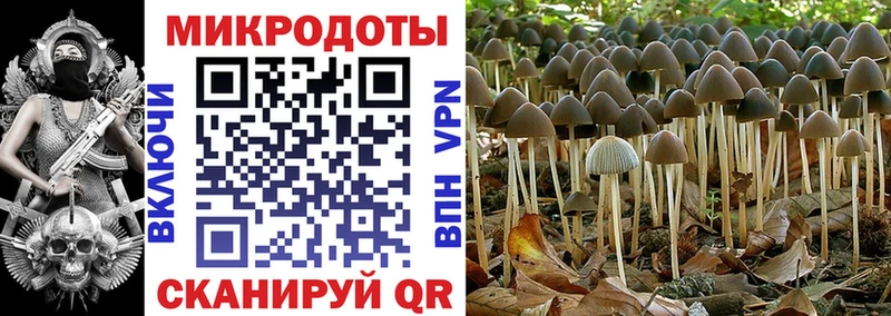Галлюциногенные грибы Cubensis  Пыталово 
